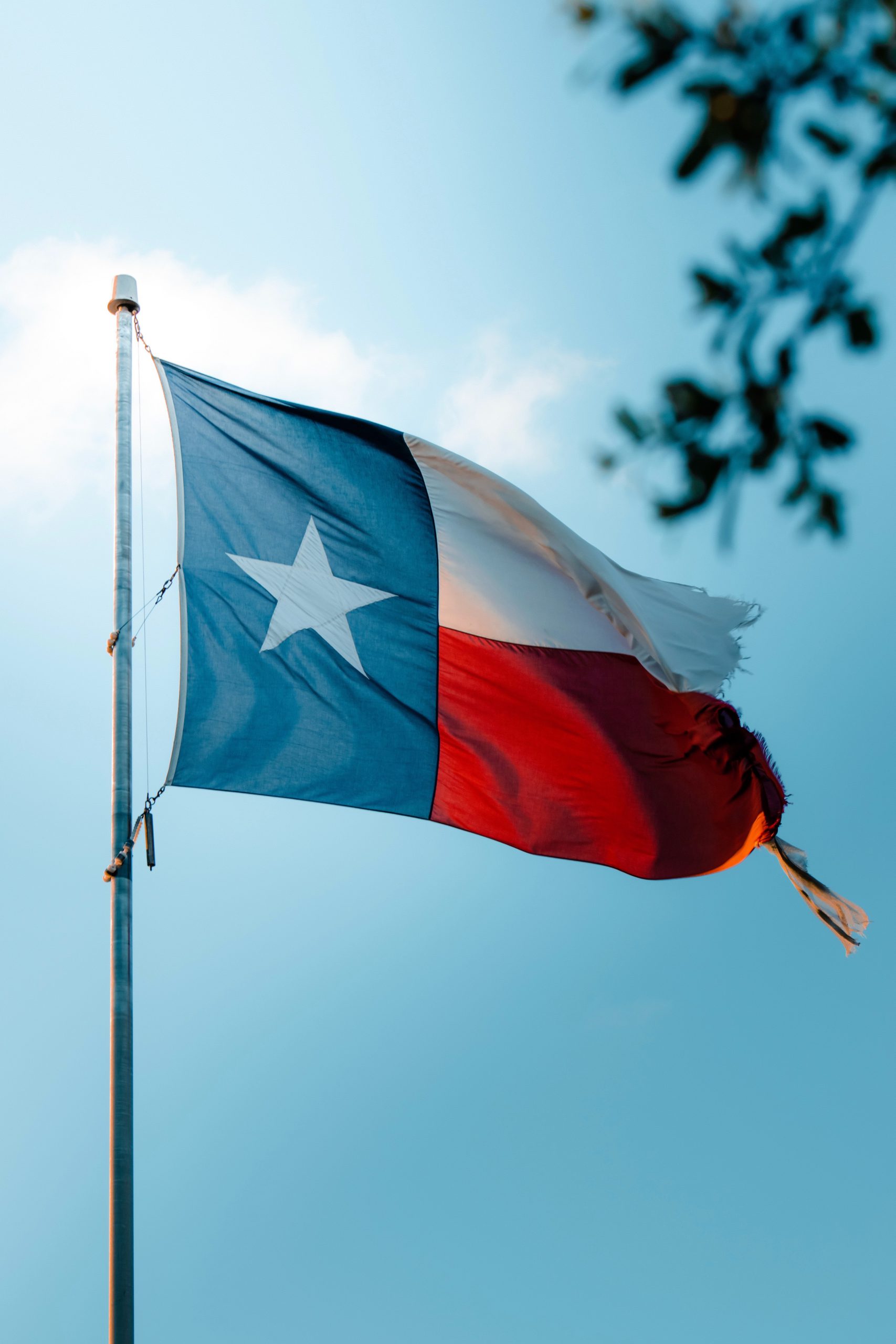 TXGR TX Flag Torn Flying