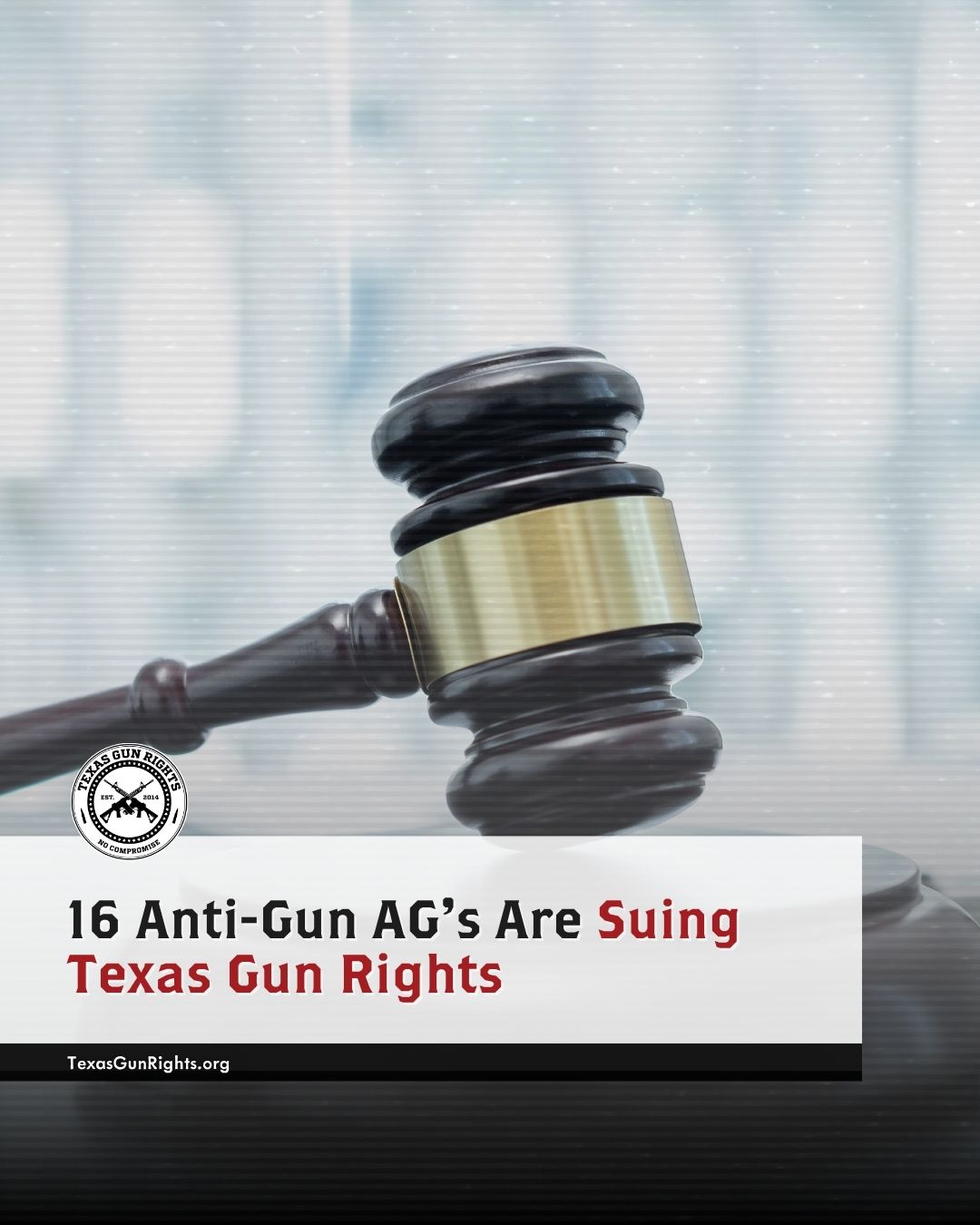 16 Anti-Gun AG's Are Suing Texas Gun Rights - Texas Gun Rights